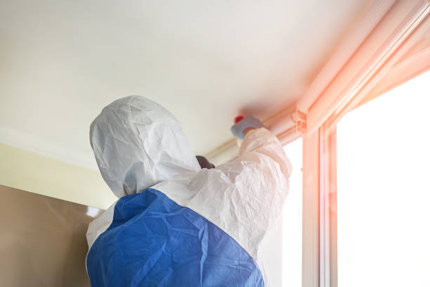 Mold Remediation for Vacation Homes in Georgetown, IL