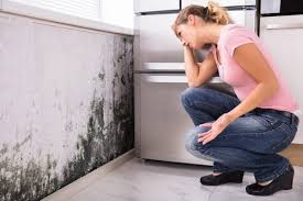 Best Mold Odor Removal Services  in Georgetown, IL